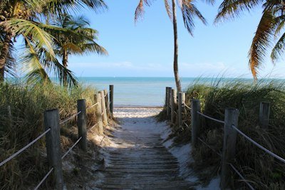 A sandy path leads to a beautiful beach