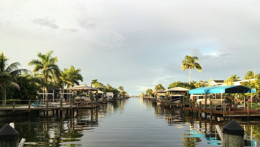 Kissimmee landscape