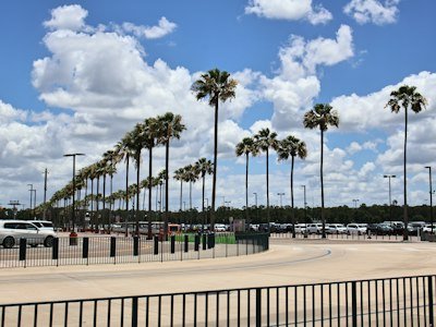 A parking lot with palm trees under a blue sky