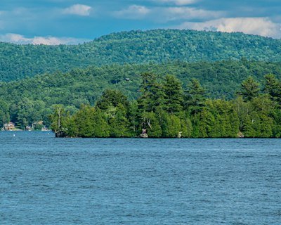 green trees near body of water during daytime