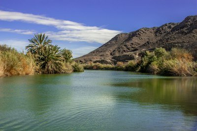 a body of water surrounded by palm trees