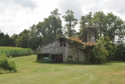 An old barn sits nestled amidst lush green trees
