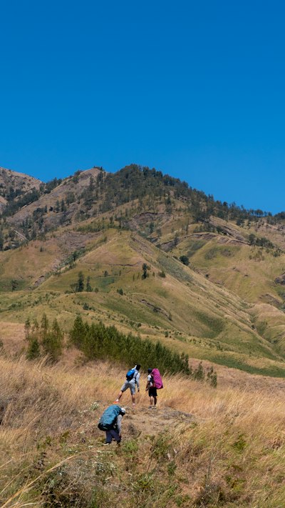 A group of people hiking up a hill