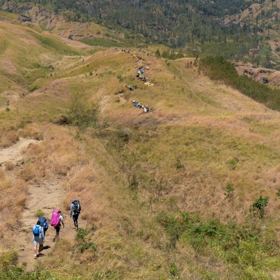 A group of people hiking up a hill