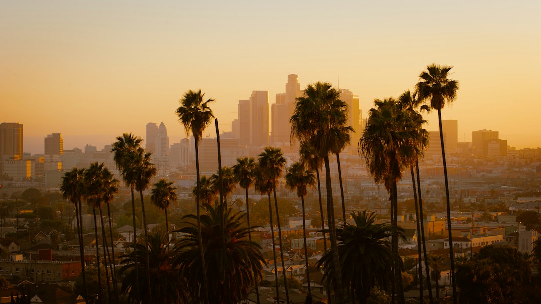 Los Angeles landscape