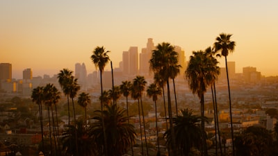 Palm trees silhouetted against the Los Angeles skyline during the golden hour