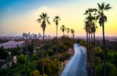 A road lined with palm trees leading toward the Los Angeles skyline at golden hour