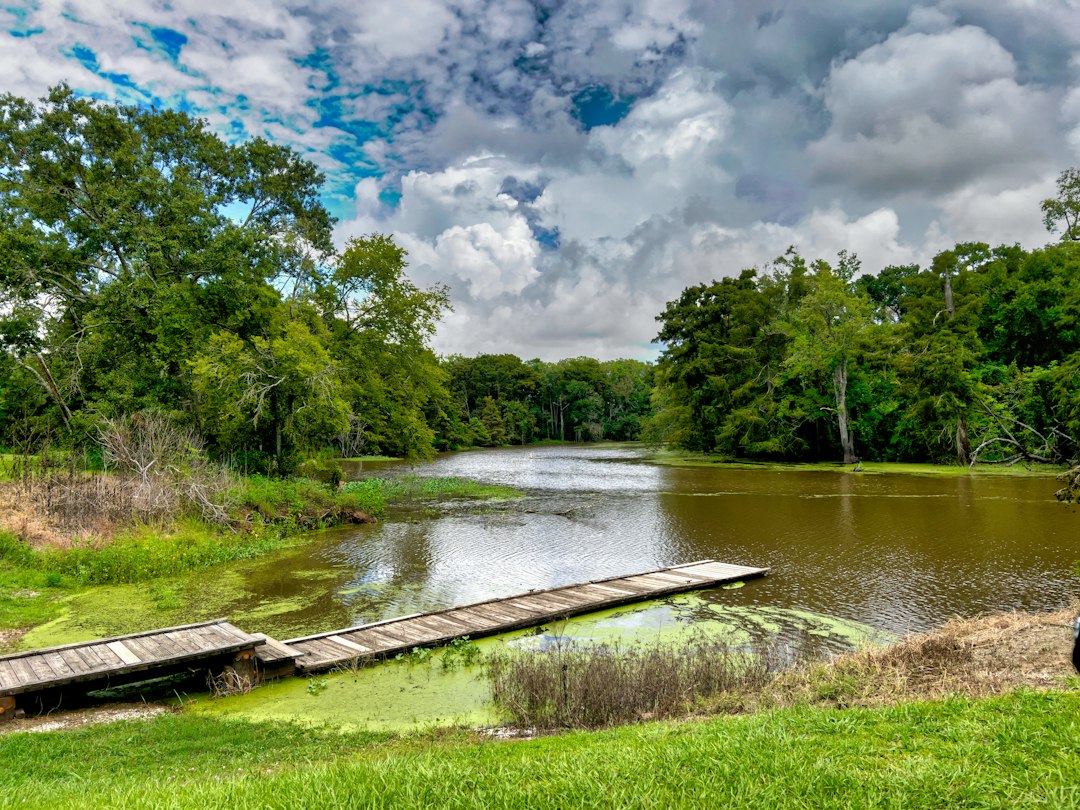 Louisiana landscape
