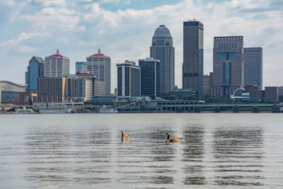 The louisville skyline is seen over the river