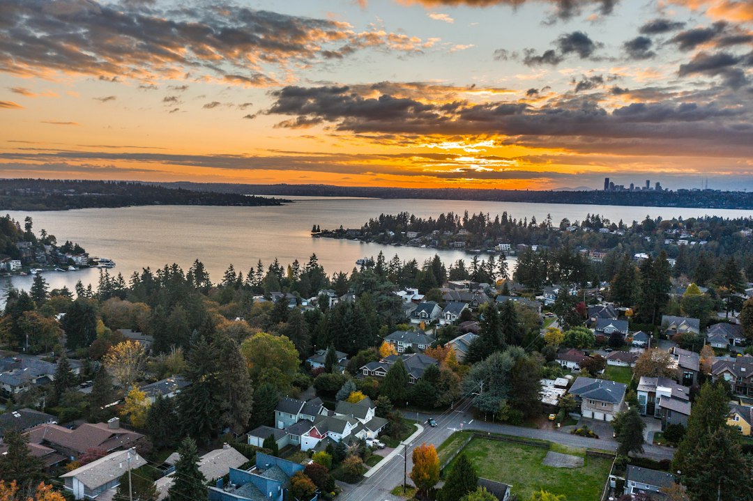 Lynnwood landscape