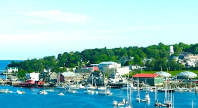 a harbor filled with lots of small boats