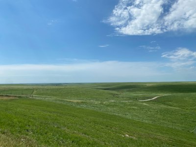 a wide open field with a road running through it