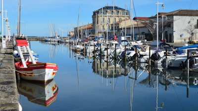 Boats are docked in a calm harbor under a clear sky