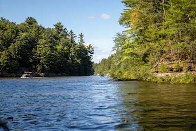 a river with trees on the side