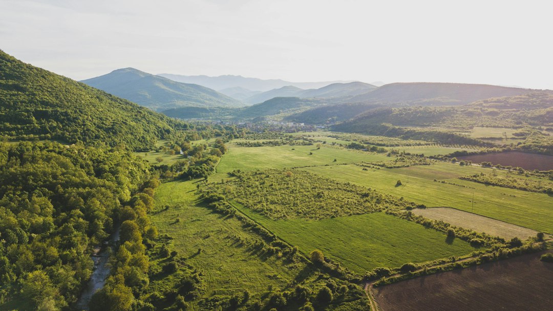 Montana landscape