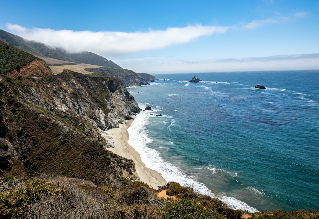 Monterey landscape