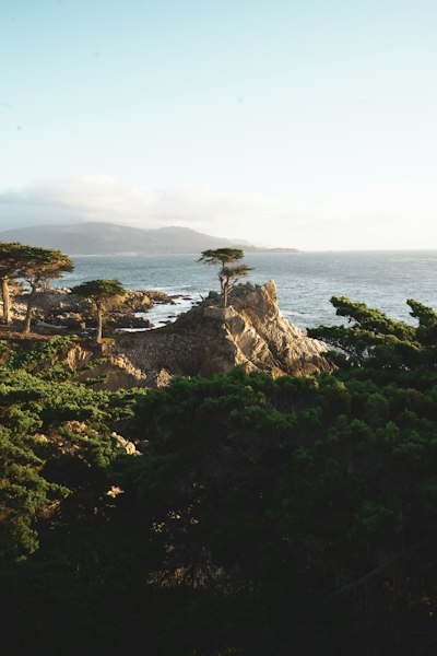 aerial photography of green trees in the mountain during daytime