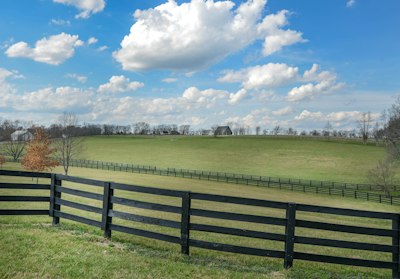 Black fence in front of green field and blue sky