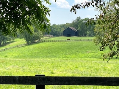 green grass field with brown wooden fence