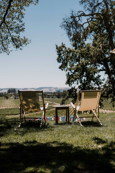 a group of chairs in a grassy field