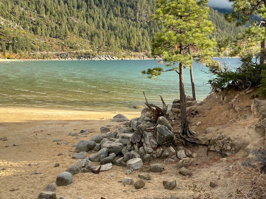 Nevada landscape