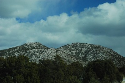 a snow covered mountain with trees in the foreground