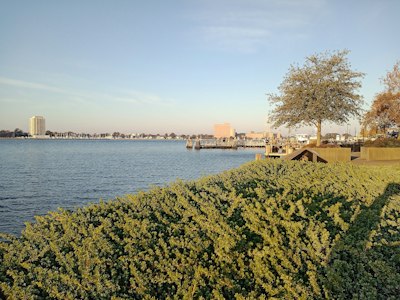 a body of water with a bridge in the background