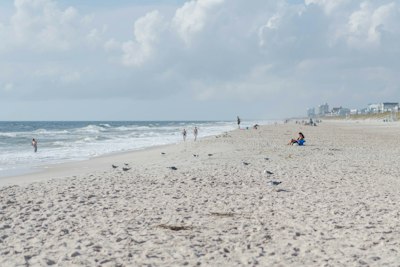 a group of people standing on top of a sandy beach