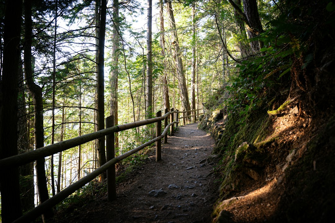 Oak Harbor landscape