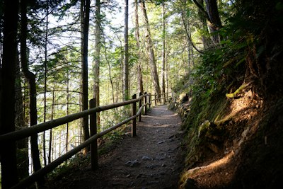 a path in the woods with a wooden fence