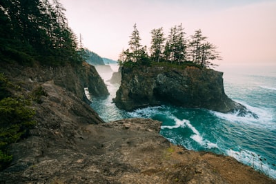 green trees on brown rocky mountain beside blue sea under blue sky during daytime