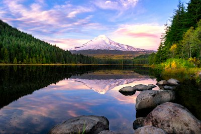 lake surrounded by pine trees near snow-covered mountain