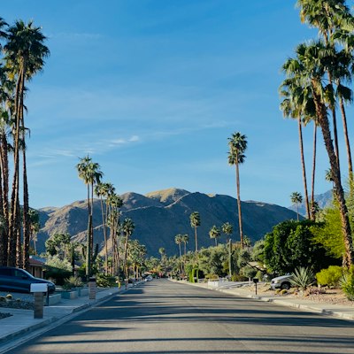 a road with palm trees and mountains in the background