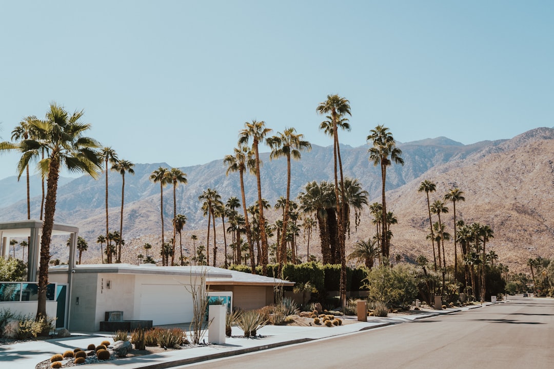 Palm Springs landscape