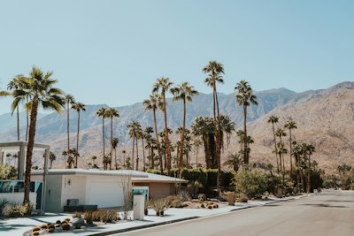 structure beside palm trees