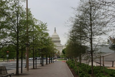 a street with trees and buildings on the side