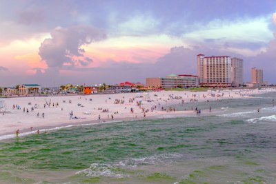 people on beach during daytime