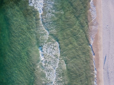 bird'eye view photography of forest near ocean