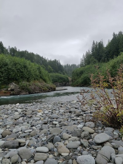 river and stones