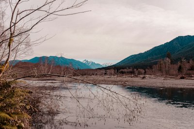 a body of water surrounded by mountains and trees
