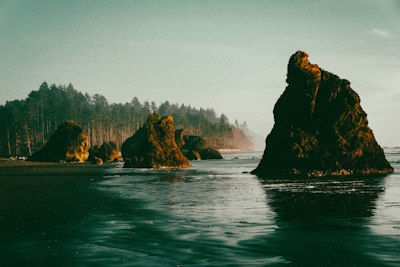 Rocks and ocean meet near a forest