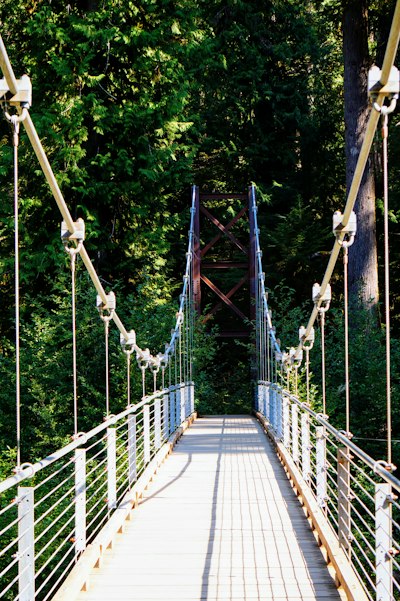 A wooden bridge with metal railings over a river