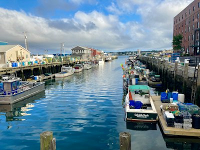 a harbor filled with lots of boats next to tall buildings