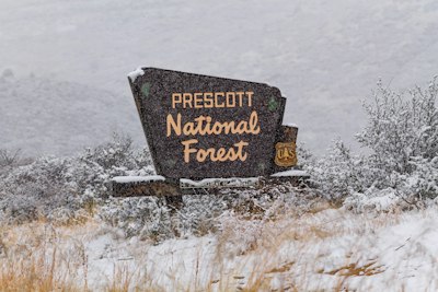 A sign for a national forest in the snow
