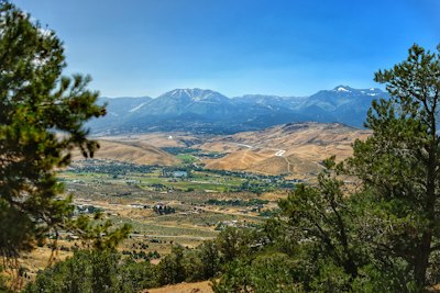 a landscape with trees and mountains in the background