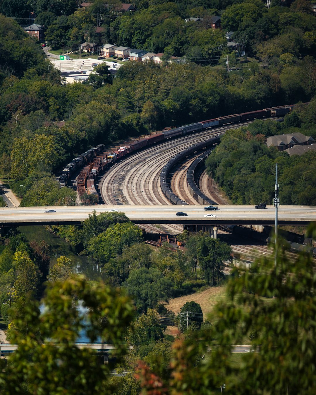 Roanoke landscape