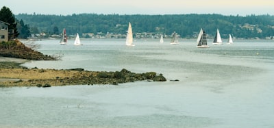A group of sailboats sailing on a body of water