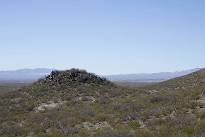 a hill with a small tree on top of it