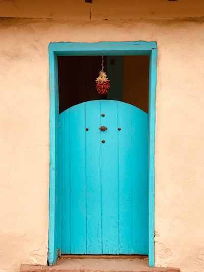 blue wooden door with red flower on top