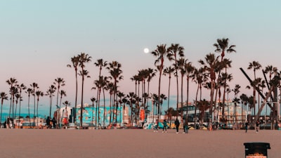 people on beach during daytime